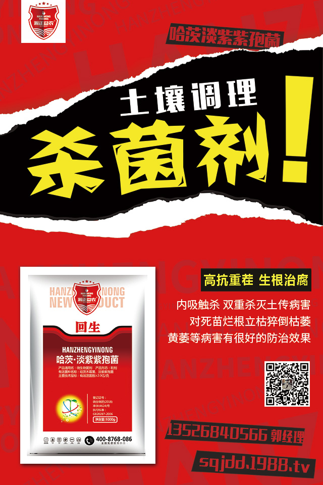 �������߲�Σ�������������߲����μ���