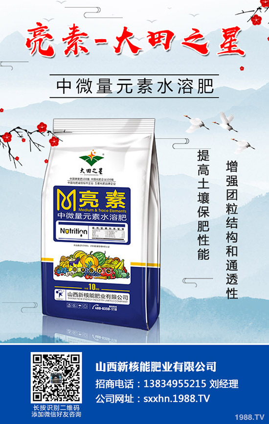 �＾�߲�����������＾���õ������С���������g(sh��)��