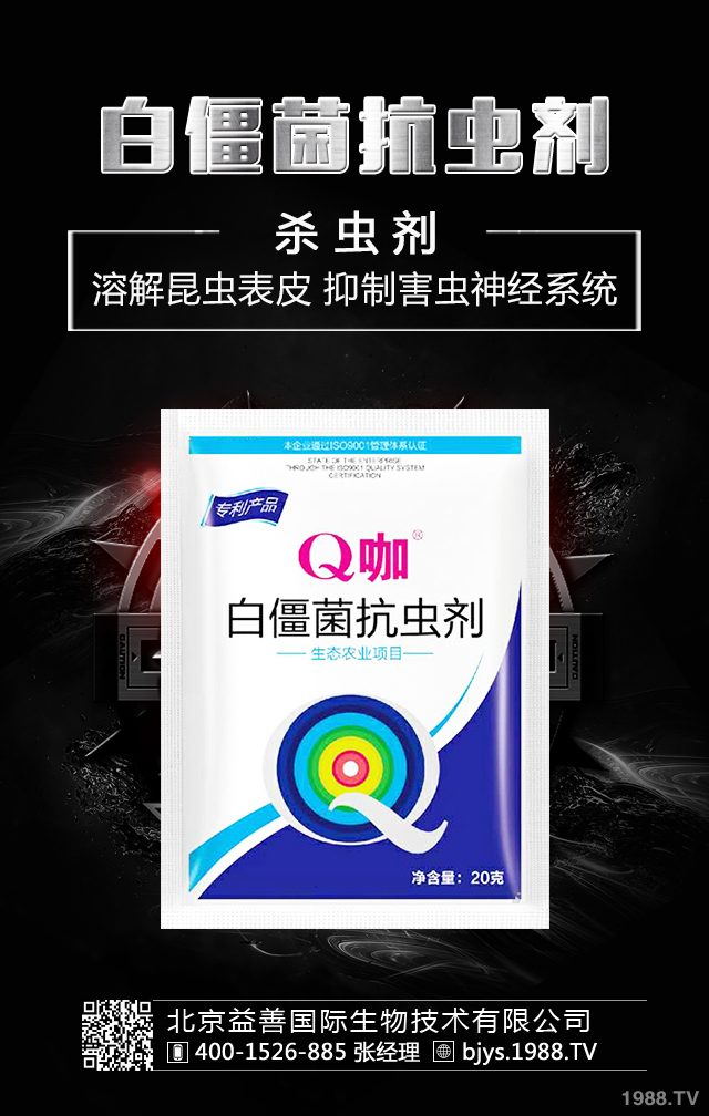 �¼����x����ô�������¼����x�����μ��\