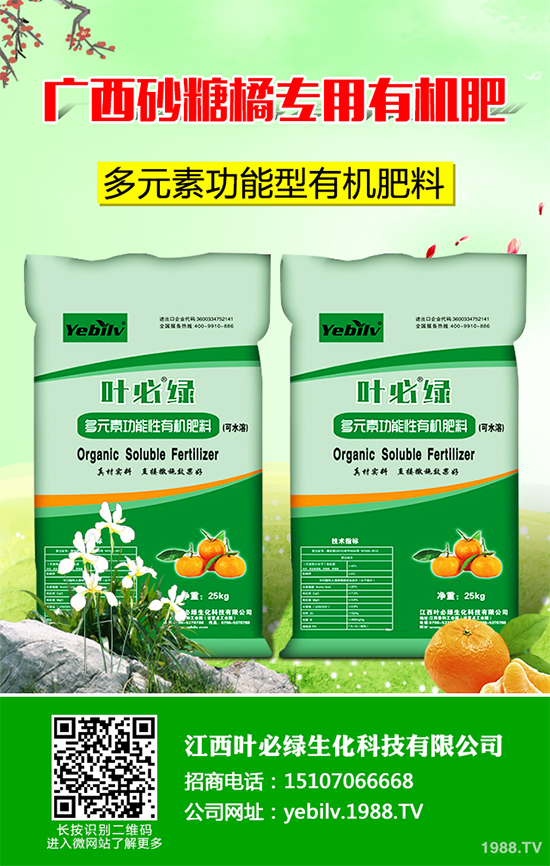     �㶹���ճ������г�Ҋ���߲����I�B(y��ng)�rֵ�S���������˂�ϲ�������㶹�Nֲ�^�����y������F(xi��n)һЩ���������u�������㶹�P���Ƿǳ���Ҋ��һ�N����������r���ξ͕����º��m�����؜p�a(ch��n)����ô���㶹�P������ЩΣ���Y������ԓ��η�����