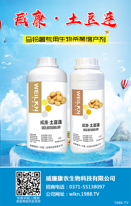 �㶹����������ЩΣ�����F(xi��n)��ԓ���ӷ������㶹���������η���