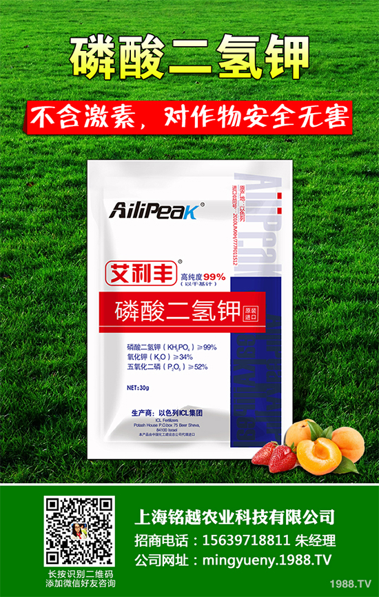 �㶹����������ЩΣ�����F(xi��n)��ԓ���ӷ������㶹���������η���