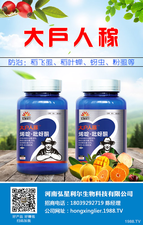 ���[�Nֲ��Ҫ��ô���������[�Nֲ�������g(sh��)Ҫ�c(di��n)��