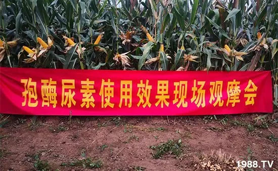 �ٿ���С�����a1471�����pø����ȫ�����������߮a������֮�o����