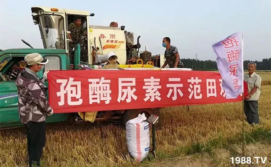 �ٿ���С�����a1471�����pø����ȫ�����������߮a������֮�o����