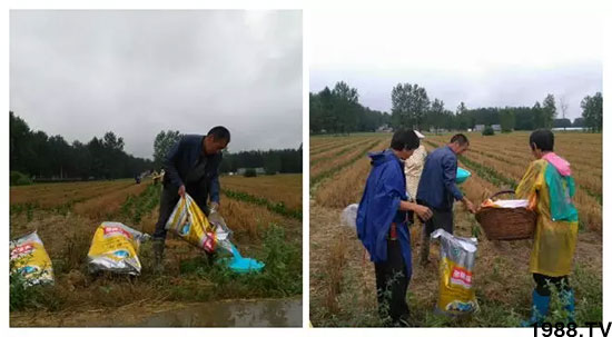 �ٿ���С�����a1471�����pø����ȫ�����������߮a������֮�o����