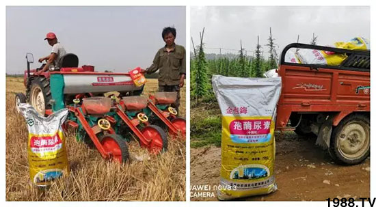 �ٿ���С�����a1471��pø����ȫ�����������߮a������֮�o����