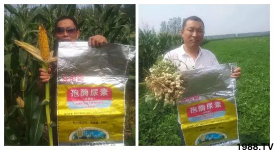 �ٿ���С�����a1471�����pø����ȫ�����������߮a������֮�o����