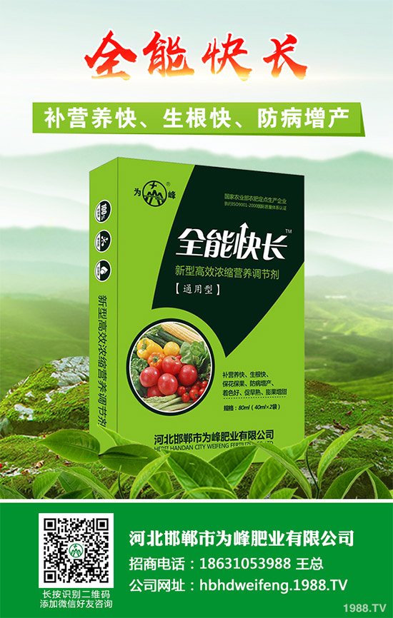 ����������Щ��̎������Ĺ�Ч���ü�ʳ�ý���