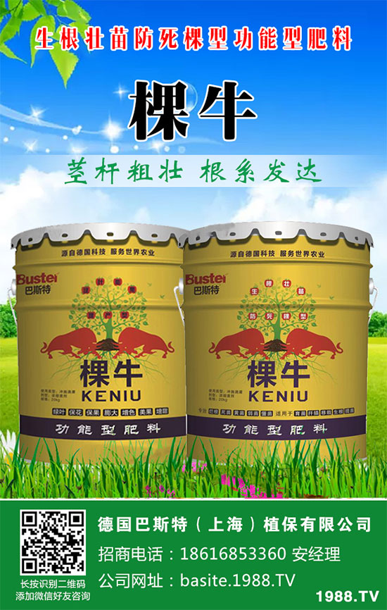 ���[���ʩ�������[�ƌW(xu��)������ʩ�ʷ�����