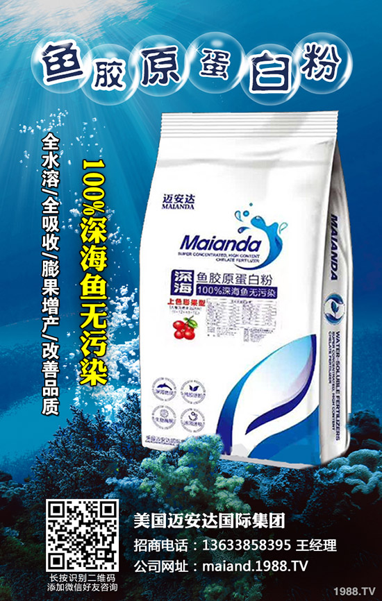 小麥播種多少合適,怎樣播種小麥高產(chǎn)?