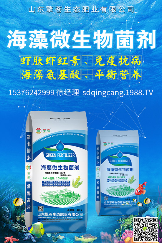     �ﶬ�}����ô�Nֲ���ﶬ�}�����N�r�g�����g����������