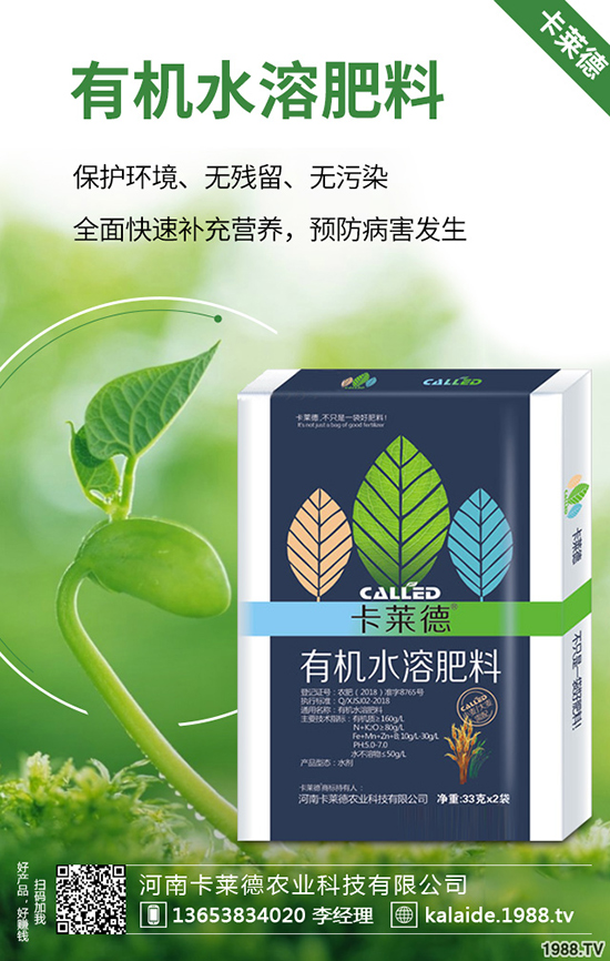 �G�}�L(zh��ng)��̫�L(zh��ng)��ô�k���G�}���޼���������Щ��