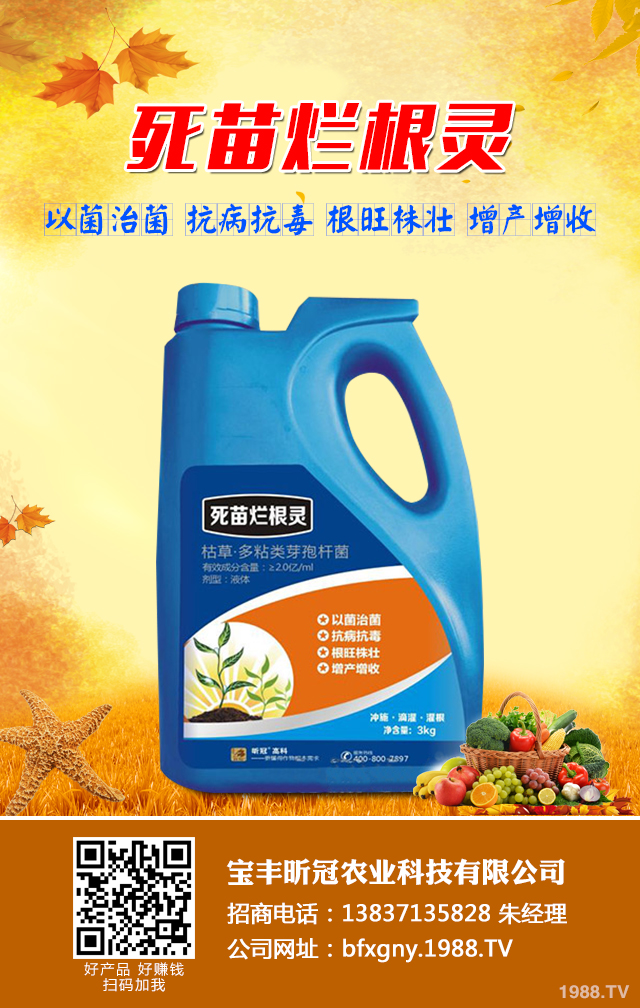 ���㶹������ô�k�����㶹������Ч���μ���