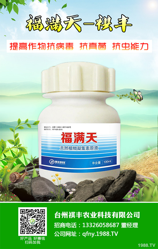 ���n������Щ��̎����Ҋ�n�ĵ�����