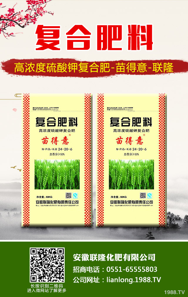 �K�F�~�S�݆�(w��n)�}��ô��Q���K�F�~�S�ݽ�Q����