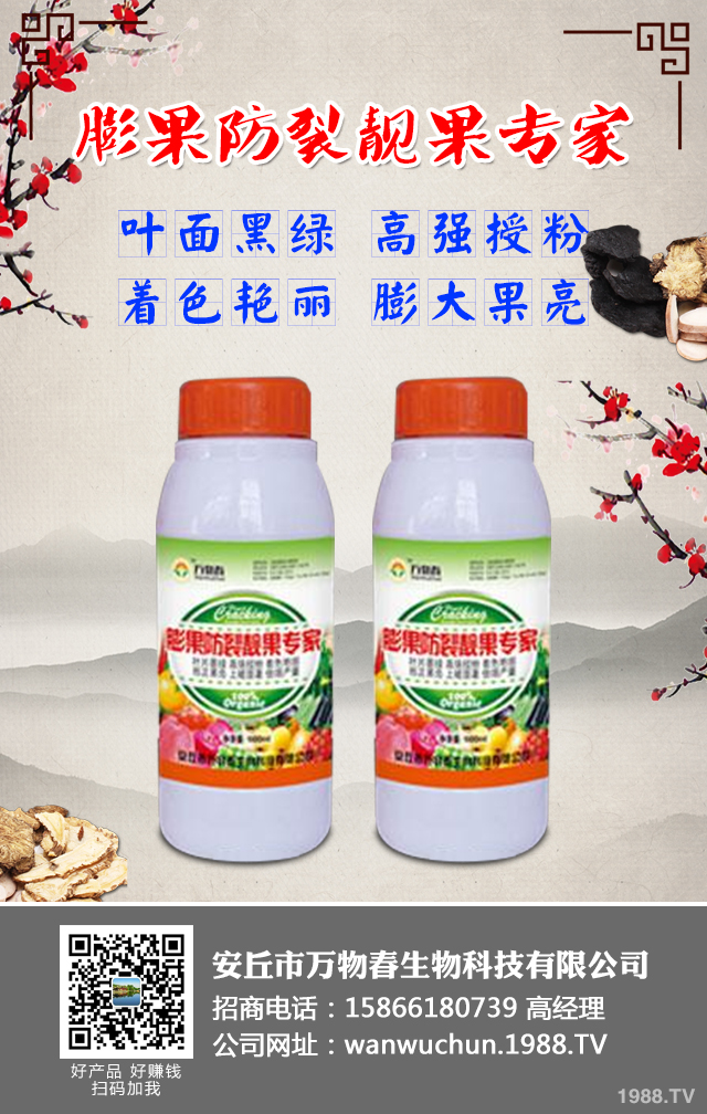 ����A����ݮ���Σ���ݮ���η��μ���