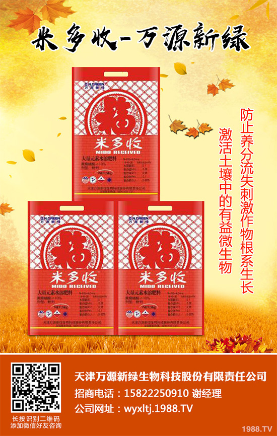 萵苣霜霉病危害這么大，你知道該如何防治嗎？萵苣霜霉病防治方法