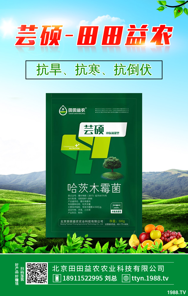 ����������η������������ٷ�������