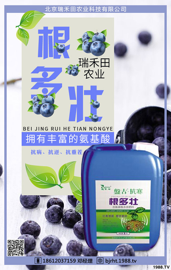 ���t��ʲô�r(sh��)�g�Nֲ�����t���Nֲ����