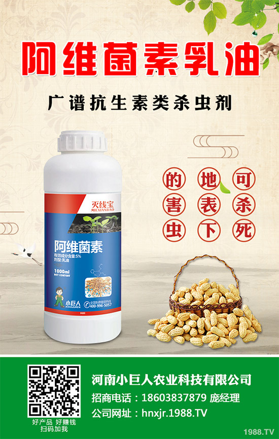 ���ݚ��x���r(ji��)��