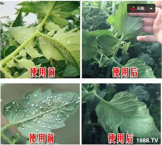     ���θ߿��԰׷�ʭ����?d��)��x����һ���Ɣ�