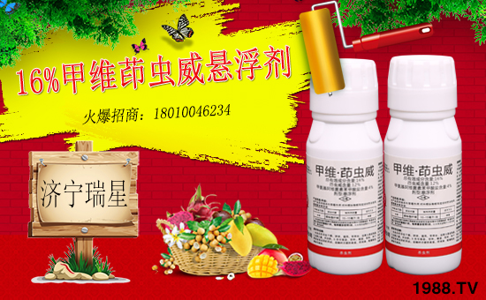 ����(j��)�����ǡ�ȫ�w�T����ףȫ��(gu��)��(j��ng)�N�����w�������f(w��n)��������