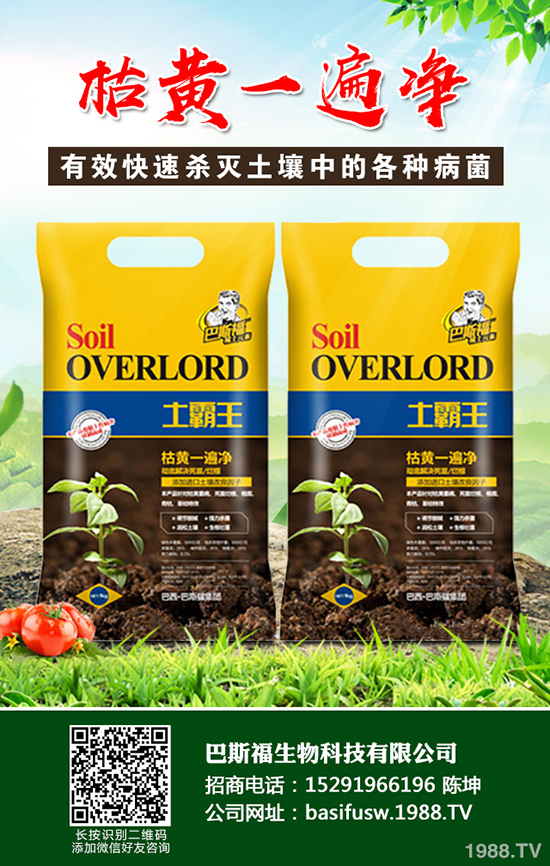 ���Sԓ��ηNֲ�����S�ĸ�Ч���༼�g(sh��)����Щ��