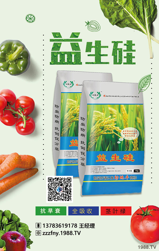 �J����ʩ���������}�Ľ�Q������ֵ���ղ���