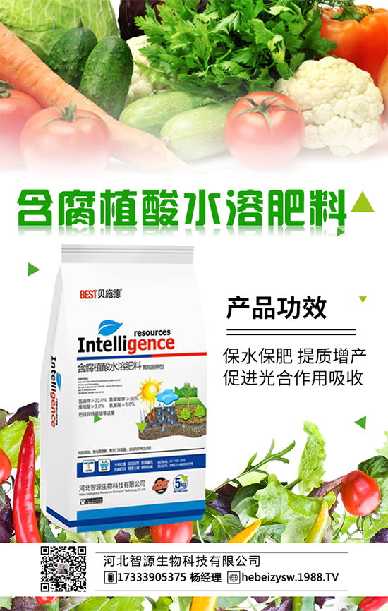 ����ʩ���з�����Ո�J������ʩ�ʵ�ȫ�׷�����