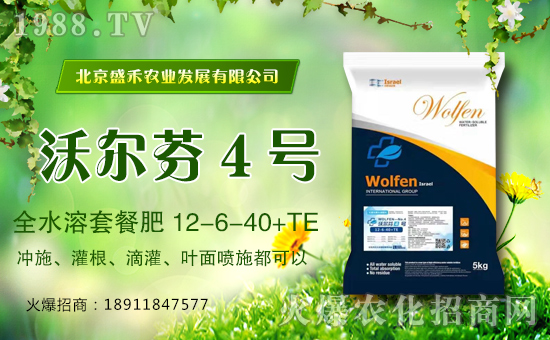 ��ʢ���r(n��ng)�I(y��)��ףȫ����(j��ng)�N������옷���f�����������꼪����