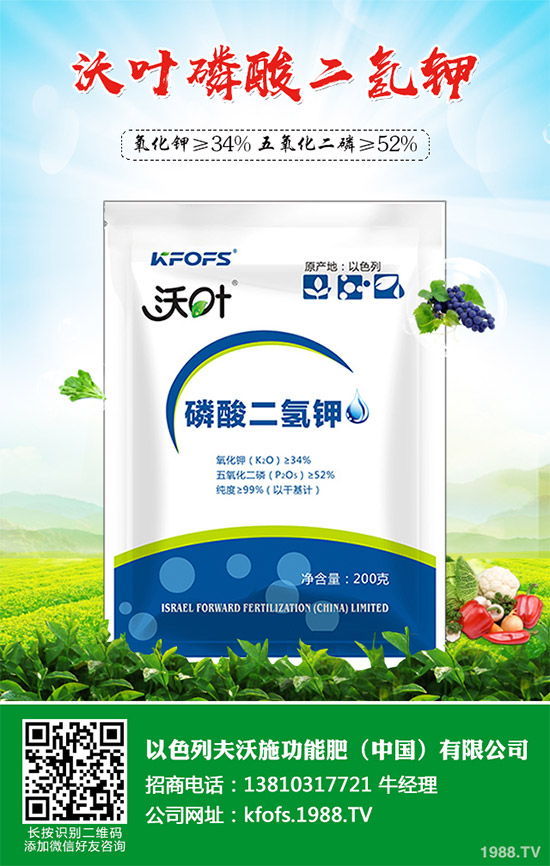 �۲˲���������ЩΣ����ԓ��η������۲˲�������Σ���c����