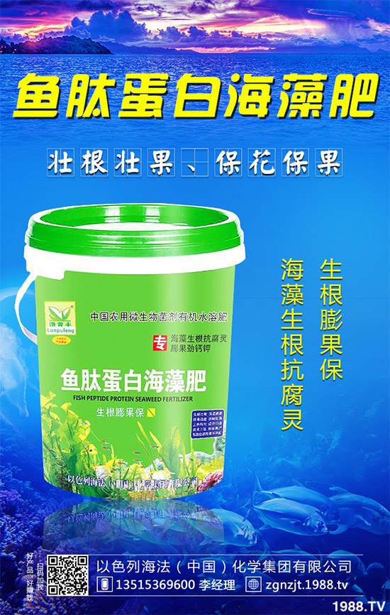 �۲˲���������ЩΣ����ԓ��η������۲˲�������Σ���c����