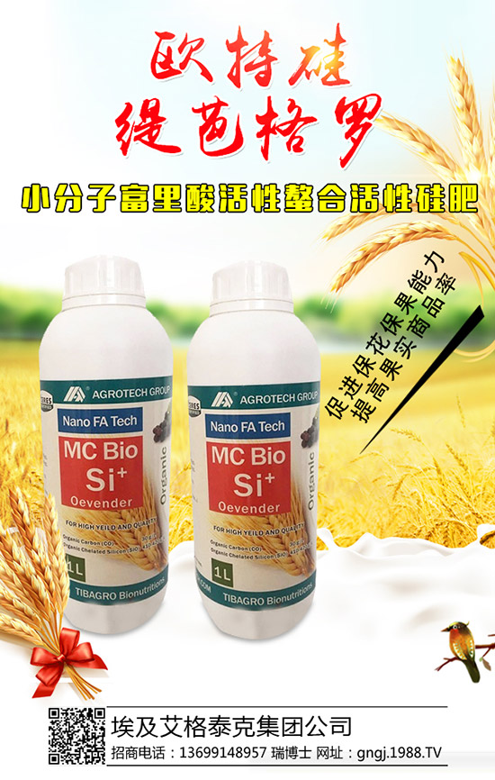 ���������Y��������ô�������������������������