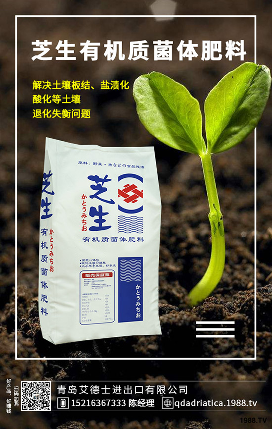 ��������Щ�I�B(y��ng)�r(ji��)ֵ�����ҵĹ�Ч�c������ʲô������xُ��