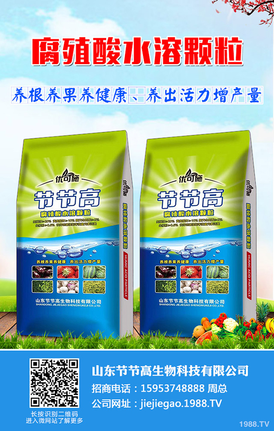     2020��1��2�ս����������س��S������(b��o)�r(ji��)һ�[��