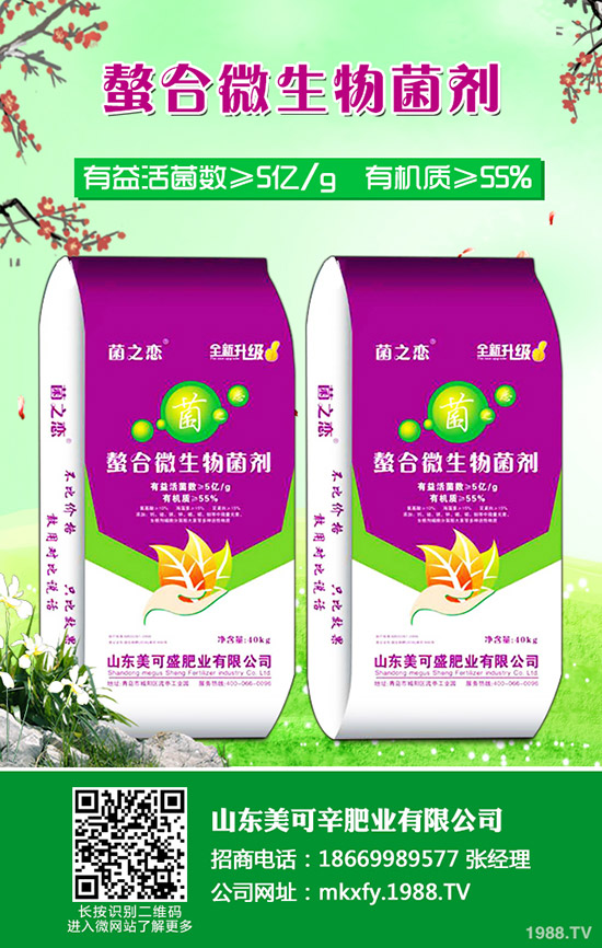     2020�����؃r�������߄�����������Xһ����