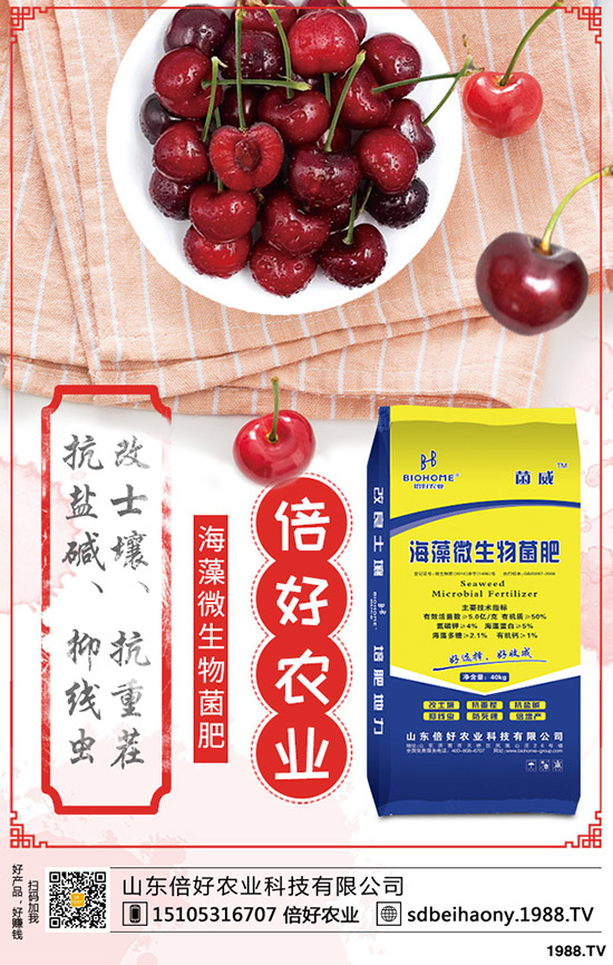     2020���؃r(ji��)��Ҫ�ϝq���������������߄�(sh��)������