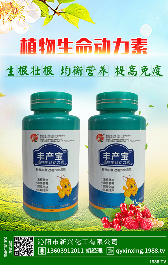 ���Ӳ��ܷN�ô�ײ�����ײ˸߮a(ch��n)�Nֲ���g(sh��)Ҫ�c(di��n)