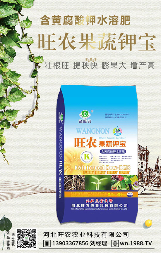 ���������L��(x��)������Щ���������B(y��ng)�o(h��)Ҫ�c(di��n)��