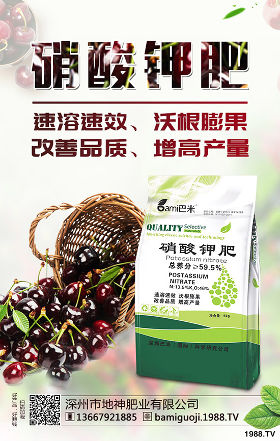 �t������r�g��ʲô�r�򣿼t�����緽������Щ��