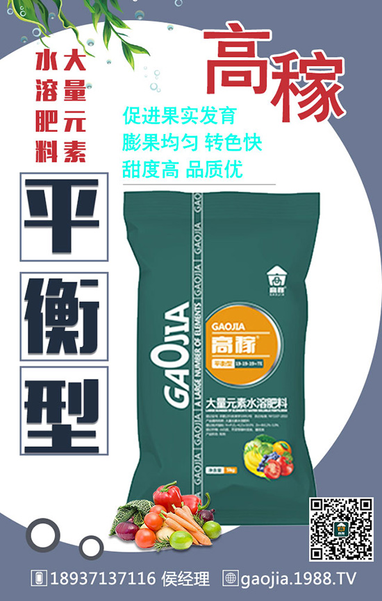 冬季拔高大蒜產(chǎn)量，離不開大蒜的合理管理！