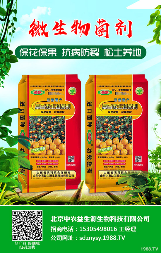     ����С���[��ηNֲ������С���[�Nֲ�r�g���Nֲ������