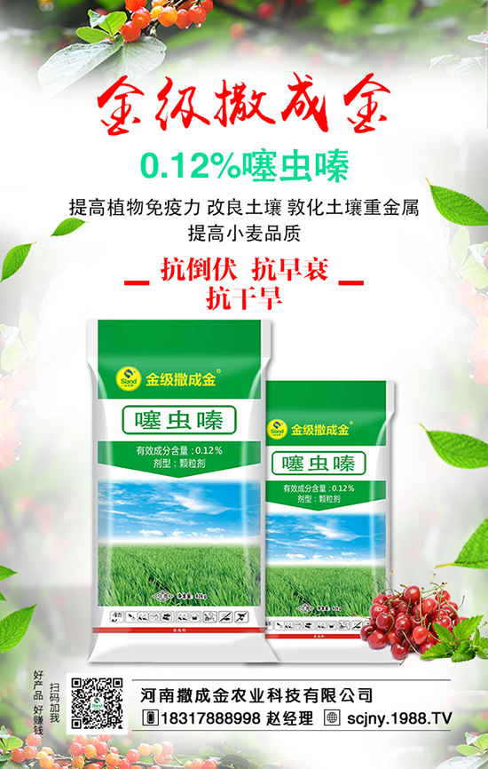 ���ˠI(y��ng)�B(y��ng)�S�������S��������ʩ�ʺ���Ҫ