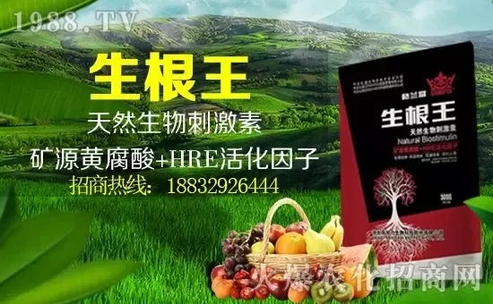 С���q�r�����e��r���^2500Ԫ/����