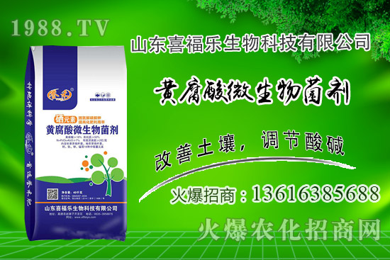 �����r(ji��)��(w��n)��ƫ��(qi��ng)��2020��10��14�ջ����r(ji��)���������