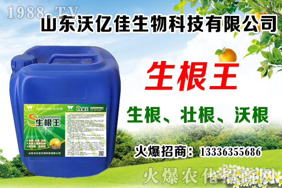 Ӱ푲�ݮ��ѿ�ֻ���������Щ����ݮ��ѿ�ֻ����c��ֲ����Ҫ�c��