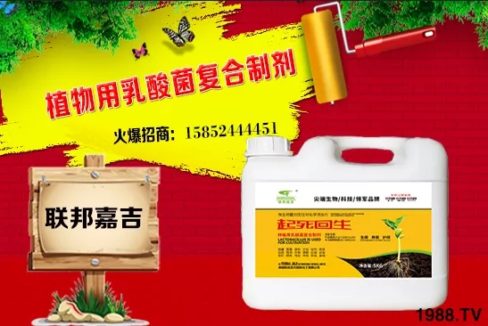 ���[���L�l������Щ�����[������c���＾������