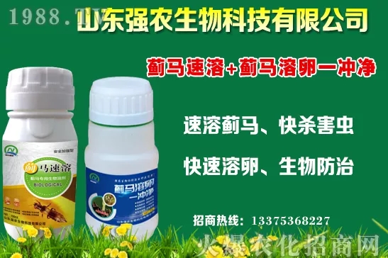 �ﶬ11�·Nֲʲô�߲˱��^���m���߲˷Nֲע�������