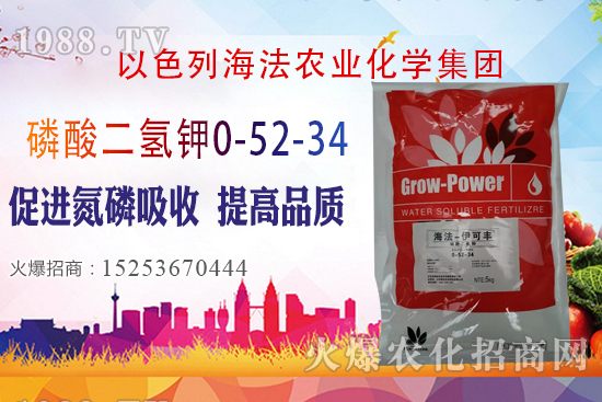 2020��10��28�����؃r��(w��n)�����������؃r�������